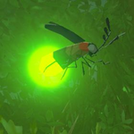 Hyrule-Compendium-Sunset-Firefly.png