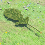 Hyrule-Compendium-Korok-Leaf.png